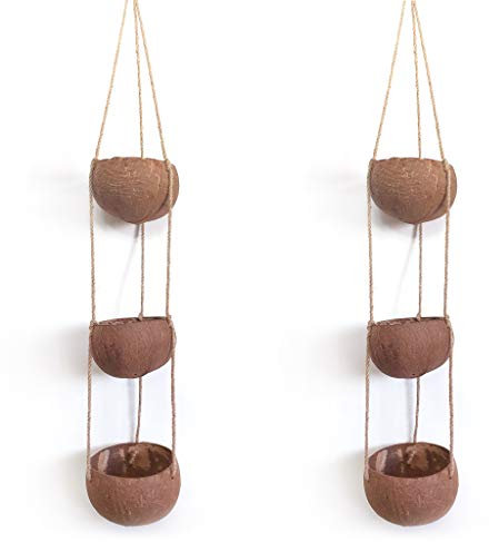 Rainforest Bowls Set of 2 3-Tier Hanging Coconut Planters w/ Drainage - Perfect for Succulents, Flowers, Small Plants, Indoor & Outdoor Gardens- Handcarved by Artisans, Eco-Friendly & Sustainable
