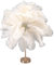 Fockety Feder-Tischlampe, Touch-Schalter, Dimmbare Moderne Straußenfeder-Lampe mit 3 Farbtemperatur und USB-Anschluss, Elegante Romantische Dekorative Nachttischlampe für Schlafzimmer (Weiss)