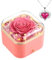 Mothers Day Forever Preserved Rose Gifts for Mum Nana Wife from Daughter Son husband Eternal Flower Rose Birthday Gift Box with Necklace for Her Mummy Present for Women on Mother's Day Anniversary
