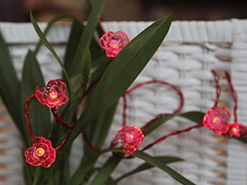 LED Lichterkette 10'er Blüte Viola rot Batteriebetrieb 726-18