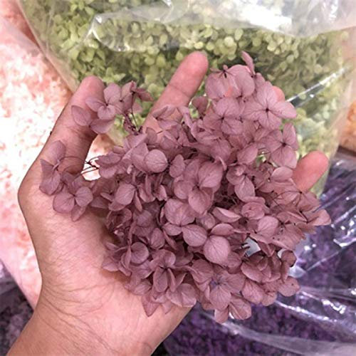 Wooai Lot de 16 fleurs d'hortensia séchées naturelles fraîches préservées 3 g