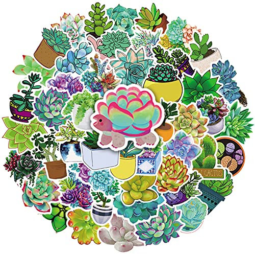 LYLSDSB Succulent Aufkleber 50 Stück Cute Aesthetic Grüne Pflanze Aufkleber für Wasserflasche Laptop Scrapbook Skateboard Auto Fahrrad Motorrad Gepäck,Wasserfeste Vinyl Kaktus Decals für Teens Kinder