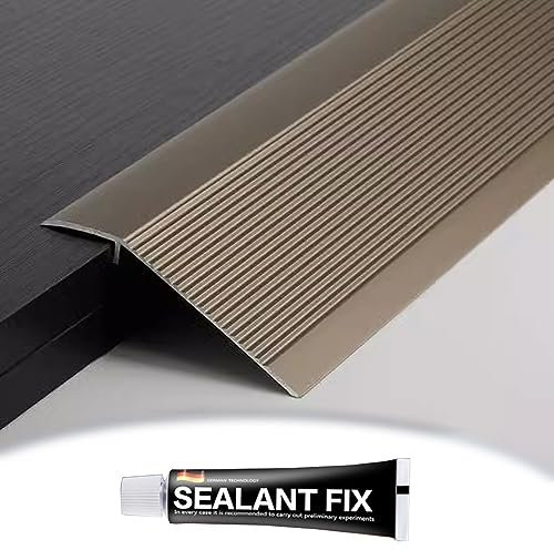 EMISOO Boden Übergangsleiste Türschwelle Übergangsschiene Breite 100mm Holz-zu-Fliesen Übergangsprofil Höhenausgleich 10mm-50mm Aluminium Bodenleiste Abdeckleiste (Color : Champagne)