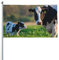 180 x 120 cm (6 x 4 Fuß) Kuh und ihr Kalb auf der Wiese, Flagge für Haus, Rasen, hängende Dekoration, Hofbanner, Urlaub, Willkommensflaggen mit 2 Metallösen, für drinnen und draußen