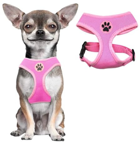 BINGPET Kleines Hundegeschirr - Atmungsaktives Mesh Welpen Katzengeschirr - No Pull Verstellbares Hundegeschirr Hundeweste Geschirr für kleine und mittelgroße Hunde