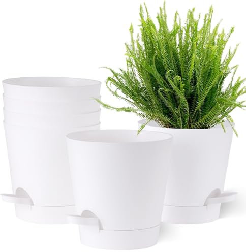 Gardrium Kunststoff Blumentopf mit Untersetzer (15,2 cm) 6er-Set Plastik Übertopf Kräutertopf mit Mehrere Ablauflöchern, Rund Pflanzkübel für Innen und Balkon Sukkulenten Kaktus, weiß