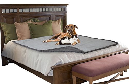 Kritter Planet Wasserdichte Bettdecke, wendbarer Sherpa-Fleece-Bettüberzug für Erwachsene, Intimancy, auslaufsicherer Möbelschutz