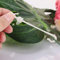 Obst Kirschtomate Ohrb¨¹Gel Garten Blume ¨¹se Pflanze Unterst¨¹Tzung Clips Reben Zughaken Spalier (200 ST??CKE)