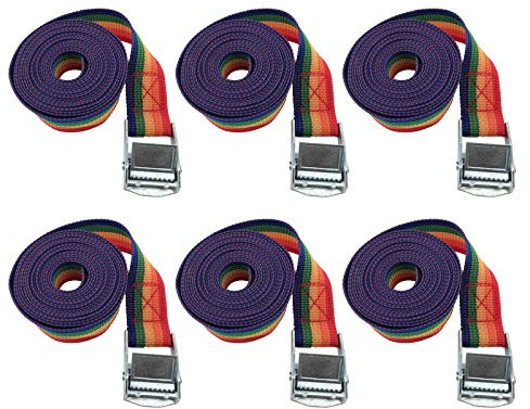 6 Stück Spanngurte Zurrgurt Mit Ratsche, Befestigungsriemen Fahrradträger, Schnellspanngurt Gepäckspanner Elastisch, Für Camping Outdoor Und Autotransport Usw (25mm*4m, Regenbogenfarben)