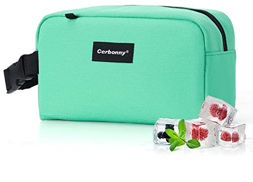 Cerbonny Small Cooler Bag Freezable Lunch Bag for Work School Travel,Small Lunch Bag,Small Insulated Bag for Kids/Adults,Freezer Lunch Bags,Mini Lunch Bag Fit for Yogurt,Suit for 3+(Green-bv1)