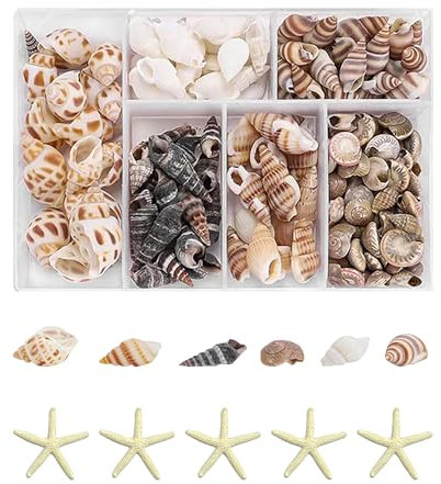 KVBUCC 105 Seashell Decorations, Spiral Shells, Starfish Decorations, Fish Tank and Vase Fillers, Craft Decorations, Furniture Decorations, DIY Decorations, Suitable for Beach Theme Parties