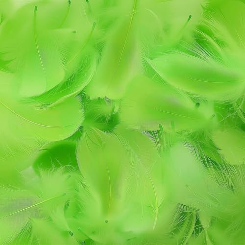 Mbsomnus 600 Piezas Plumas Verde 5-12 cm Plumas Manualidades Plumas Decorativas para Manualidades DIY Pendientes Tocados Atrapasueños Flores de Plumas Bodas Decoraciones de Navidad y Fiestas