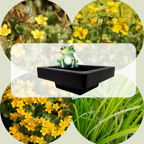 WASSERPFLANZEN WOLFF ° FROG-ISLAND gelb- SCHWIMMINSEL inklusive Pflanzen - REIHERSCHUTZ - 4er-Mix mit Pflanzinsel - QUALITÄTSSTAUDEN im Pflanzkorb - Frosch-Insel für Gartenteich - SCHATTENSPENDER
