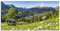 ARTland Wanddeko Wandbild Alu Verbundplatte für Innen & Outdoor Bild 60x30 cm Alpen Landschaft Berge Wald Gebirge Wiese Sommer Natur T1QL
