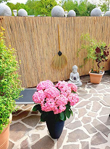 Schilfrohrmatte 150x600 cm -Natur Wind und Sichtschutzmatte aus Schilfrohr für Haus,Garten und Balkon