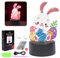 APODESS 12tlg Diamond Painting Ostern Deko Hase Diamant Painting Frühling Deko Innen Ostern Geschenke Kinder Nachtlicht Osterhase Led Osterbeleuchtung Ostern Basteln für Handgemachte Ornamente