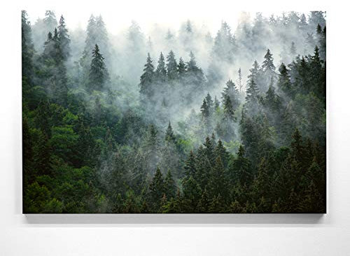 EIN Atemberaubendes Bild – Wald von Oben - als 90x60cm große XXL Leinwand. Tolles Wandbild als Hintergrund und Deko für Wohnzimmer & Schlafzimmer. Fertig aufgespannt auf 4cm Holz-Keilrahmen