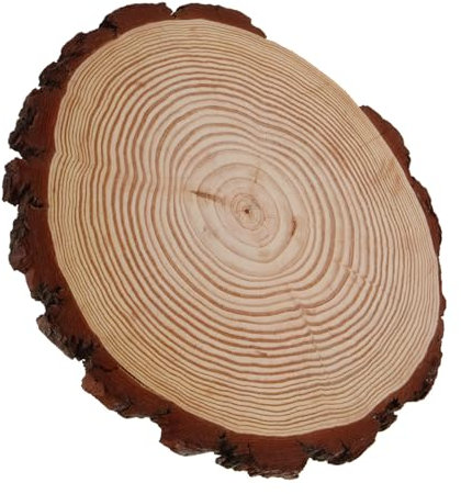 Gogogmee Trittsteine Für Den Außenbereich Terrassenpflasterstein Trittsteine Aus Holz Trittsteine Für Den Außenbereich Gehweg Garten Trittsteine Aus Holz Trittsteine Für