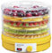 Essicatore Frutta Verdura Fungi Erba 6 Contenitori Concept