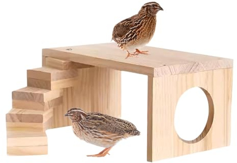 Hamsterkäfig-Ebenen - Holzspielzeug Für Hamster - Nagelsicheres Kleintierspielzeug Für Zwerghamster Meerschweinchen Mäuse