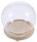 ifundom Verre Clair Cloche Globe Affichage Cloche Pot Transparent en Verre Mini Assiette À Gâteau Dessert Gâteau Stand avec Socle en Bois Décoratif Couvercle De Cloche pour