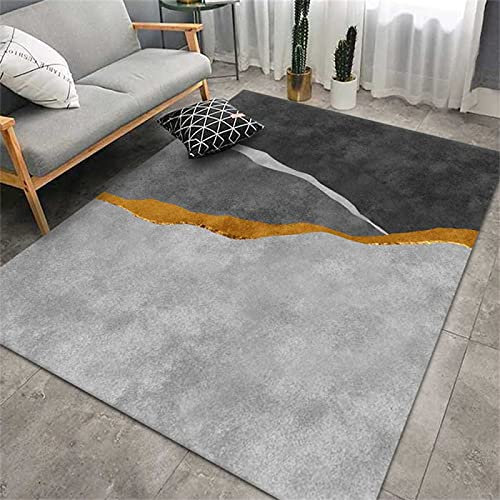 EUYXCRV Alfombra De Terciopelo De Cristal De Estilo Nórdico, Alfombra De Sala De Estar, Dormitorio, Manta De Mesa De Centro Moderna Simple, Alfombra De Piso De Oficina 80 x 120 cm