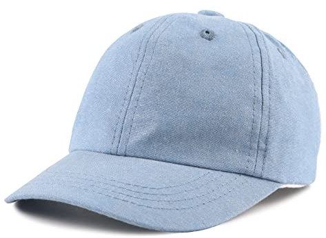XIAOHAWANG Sommer Baseball Cap für Jungen Mädchen Verstellbar Sport Kappe Kinder Mit Dinosaurier-Stickerei Schirmmütze Kinder UV Schutz 2-6Jahren(Himmelblau-B,48cm)