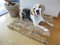Engel Naturfelle Liegedecke Teppich für Katze und Hund Lammfell (Patch) 140x60cm Camel Hellbraun