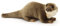 Uni-Toys - Otter, stehend - 45 cm (Länge) - Plüsch-Otter - Plüschtier, Kuscheltier