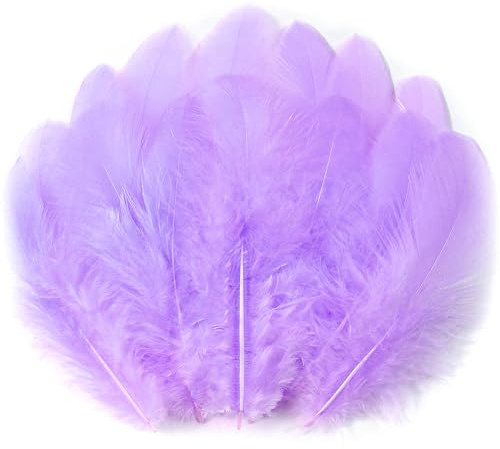 Soarer Light Purple Supplies Feathers Bulk for Crafting,300Pcs,3-5inch
