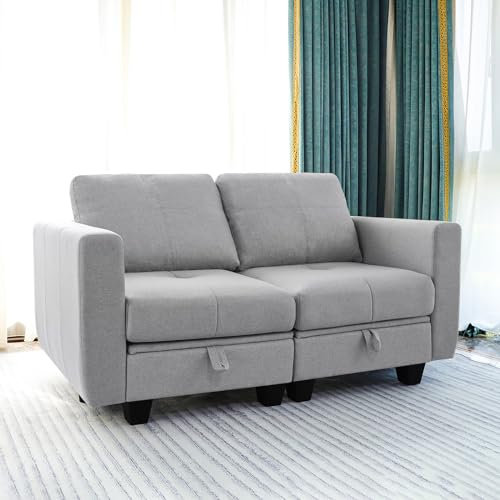Hadibio 2 Seater Sofa with Storage, Modular Sectional Sofa, Convertible Small Sofa, Removable Washable Back Cushion Covers - Fabric Sofa for Living Room