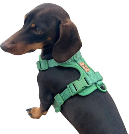 Hundegeschirr gegen Ziehen, verstellbar, bequem und robust, für kleine, mittlere und große Rassen, für sichere Spaziergänge ohne Ziehen, La Casa de Turrón (Dschungel (Grün, XS)