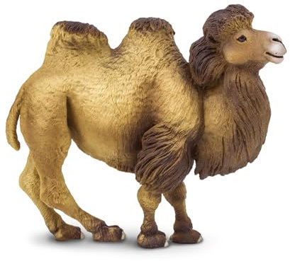 Safari Bactrian Camel