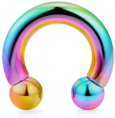 Briana Williams Regenbogen Hufeisen Circular Barbell Ring 316L Chirurgenstahl Piercing Schmuck(2/2.5/3/4/5/6/8/10mm Dicke)
