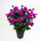 Seidenblumen Roß Azalee 40cm Purple im Topf ZF Kunstpflanzen Kunstblumen künstliche Blumen