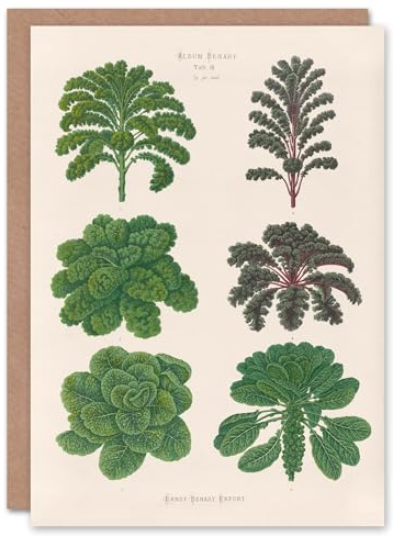 Artery8 Ernst Benary Art Card Kale and Brussel Sprouts Vintage Botanical