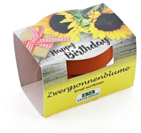 Bull & Bear Mini Pflanzset 'Happy Birthday', Blumensamen im Topf 4,5cm, Mini Sonnenblume als Anzuchtset mit Pflegeanleitung