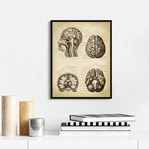 LLXHG Gehirn Medical Print Menschlichen Kopf Anatomie Vintage Illustration Poster Neurologie Wissenschaft Kunst Leinwand Gemälde Bild Arzt Geschenk-20X30Cm Kein Rahmen