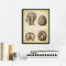 LLXHG Gehirn Medical Print Menschlichen Kopf Anatomie Vintage Illustration Poster Neurologie Wissenschaft Kunst Leinwand Gemälde Bild Arzt Geschenk-20X30Cm Kein Rahmen