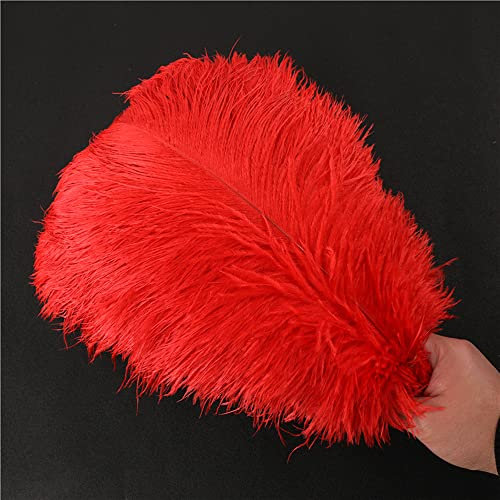 Duories 10 Stück 40-45cm Natürliche Straußenfedern,Strauß Feder zum Basteln,Bastel Federn für DIY Traumfänger Zubehör,Heimdekoration,KostüMe,Tischdeko Hochzeit Party Fest Hüte Kleidung Dekoration,Rot