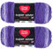 Red Heart Super Saver Jumbo Violet Ombre Yarn - 2 Pack of 283g/10oz - Acrylic - 4 Medium (Worsted) - 482 Yards - Knitting/Crochet