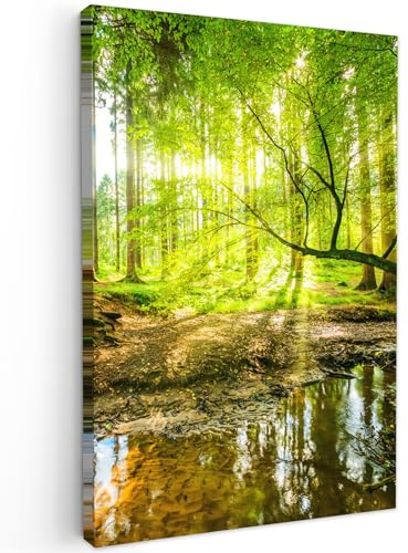 MuchoWow© Leinwandbild Groß XXL Dekoration Wohnzimmer Bilder Aufhängen Wall | 80x120 cm - Decoration Living Room Wohnungs Deko Moderne Wandbilder Bild Wald - Landschaft - Wasser - Bäume - Grün - Natur