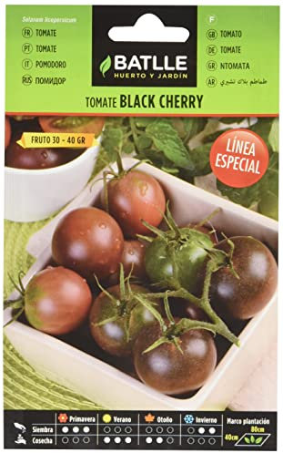 Semillas Batlle Línea Especial Tomatensamen Tomate Black Cherry