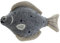 Hundespielzeug Skagen Steinbutt, grau 21 cm