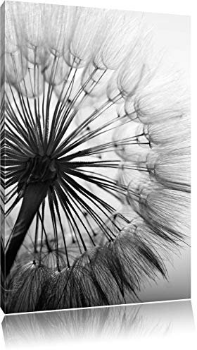 Pixxprint Schöne Pusteblume Schwarz, B&W, Größe: 100x70cm, Leinwandbild, fertig gespannt, Wandbild, Dekoration, Kunstdruck, kein Poster