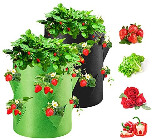 Homealexa Sacs de Culture pour Fraise, 2PCS 40L/10 Gallons de Légumes, Tissu Non-tissé avec Fenêtre, pour Plantation de Jardin