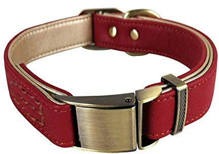 feiling Hundehalsband Leder Große Hunde Klickverschluss Einstellbare Lederhalsband für Kleine Mittelgroße Hunde Halskette Hundehalsung Hundeband (M: 29-43cm, Rot)