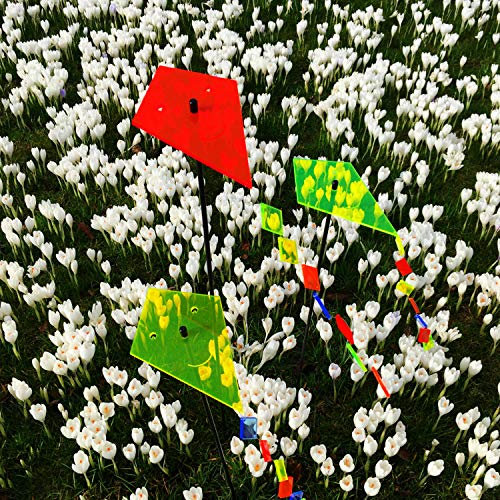 3X Großer Sonnenfänger Fliegender Drachen, Deko Gartenstecker 3er Set mit 75cm Stab, Leuchtende Garten Geschenk Idee, Farbe:rot/gelb/grün