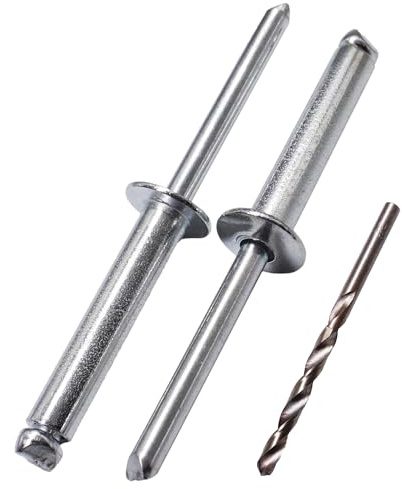 SKIR'CO Lot de 40 rivets aveugles en acier zingué 6,0 x 25 mm, mandrin en acier, rivets Pop, tête bombée, rivets DIN 7337, foret inclus