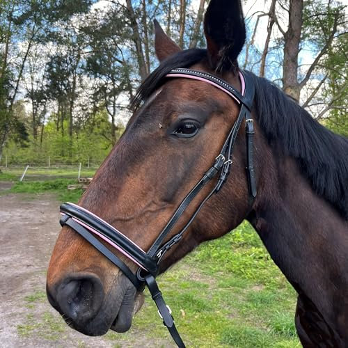 Brama West Reithalfter Pferd Sparkle - englisch kombiniert - Ledertrense mit Antislip Zügel und Strasssteinen (Rosa, XFull)